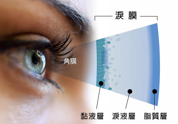 tear-film