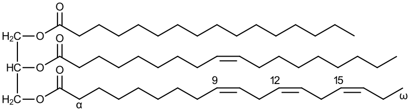 三酸甘油脂